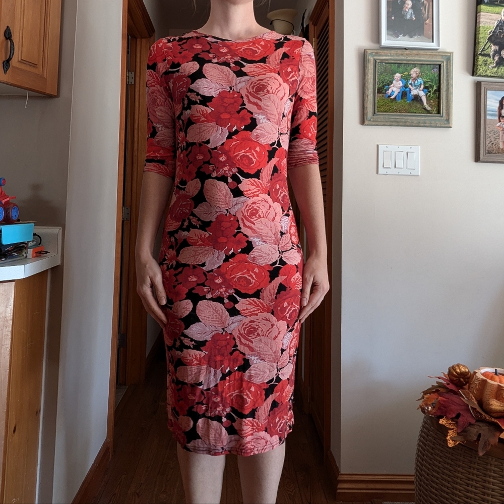 QED London Red and Pink Floral Long Sleeve Dress